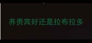 养贵宾好还是拉布拉多