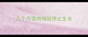 几个月雪纳瑞就停止生长