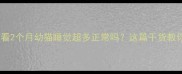 新手养猫必看2个月幼猫睡觉超多正常吗这篇干货教你科学应对