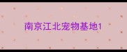 南京江北宠物基地