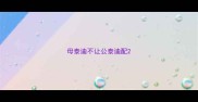 母泰迪不让公泰迪配